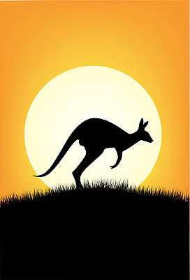 EPS 해외이미지 식물 동물 실루엣 별 야생동물 여행 백그라운드 오렌지 일러스트 포유류 자연 하늘 휴가 풍경 야외 여름 평화 일출 환경 검은색 어둠 황혼 일몰 사막 황무지 호주 저녁 땅 아래 심볼 그림 영토 캥거루 오지 해외202004 해외일러스트 자연요소 계절 컬러 컨셉 과일 촬영기법 노을 오세아니아 야간 방향 생태계 위치 파일형식 벡터 이미지허브