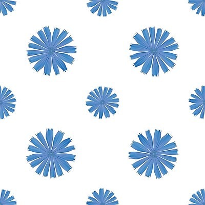 EPS 해외이미지 식물 템플릿 꽃잎 꽃 실루엣 선 백그라운드 꽃무늬 패턴 일러스트 자연 벽지 그래픽 장식 파란색 벚꽃 흰색 직물 얼룩 화려 개화 약초 허브 그림 질감 윤곽 엘리먼트 영원 치커리 파스텔톤 해외202004 해외일러스트 컬러 컨셉 무늬 채소 촬영기법 풀_식물 생태계 파일형식 벡터 이미지허브