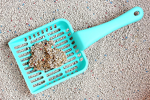 포토 JPG 해외이미지 모래 분홍색 백그라운드 사람없음 초록색 파란색 장비 회색 흰색 쓰레기 작음 플라스틱 삽 질감 향기 데오드란트 위생관리 해외202004 해외포토 컬러 재질 관리 크기 냄새 파일형식 이미지허브