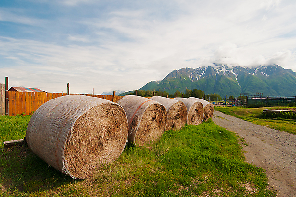 포토 JPG 해외이미지 여행 자연 하늘 산 건조 풍경 사람없음 초록색 파란색 농장 갈색 쌓기 시골 볏짚 먹이 롤 팩 내추럴 밭일 그리너리 해외202004 해외포토 컬러 농업 모션 화장품 짚 생태계 파일형식 트랜드컬러 이미지허브