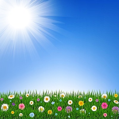 EPS 해외이미지 식물 템플릿 배너 계절 꽃잎 꽃 분홍색 꽃다발 백그라운드 꽃무늬 일러스트 추상 발렌타인데이 장식 가로 여름 노란색 보라색 봄 벚꽃 축하 신선 신용카드 발표 개화 다발 질감 데이지 엽서 거베라 내추럴 해외202004 해외일러스트 컬러 컨셉 무늬 데이이벤트 금융 편지 파일형식 벡터 이미지허브