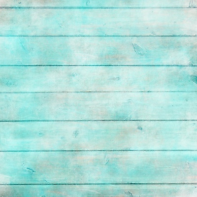 포토 JPG 해외이미지 디자인 벽 백그라운드 크리스마스 패턴 벽지 탁자 표면 바닥 사람없음 목재 장식 파란색 우주 공백 수확 흰색 시골 거친 그리기 널 정상 민트 질감 복고 내추럴 그런지 수목 옛날 터키석 스타일 세련 해외202004 해외포토 나무 기념일 컬러 가구 무늬 농업 재료 모션 보석 허브 파일형식 이미지허브