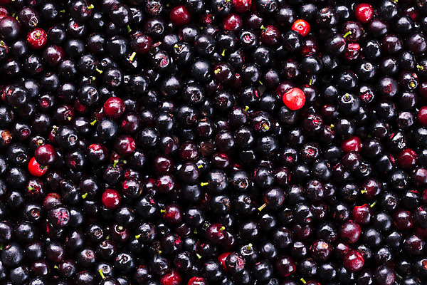 포토 JPG 해외이미지 열매 음식 백그라운드 다이어트 과일 태국 표면 건강 사람없음 빨간색 초록색 컬러풀 신선 그룹 달콤 먹기 유기농 질감 블루베리 산딸기 내추럴 숙성 해외202004 해외포토 식물 웰빙 아시아 컬러 모션 맛 파일형식 이미지허브