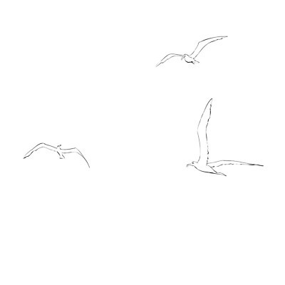 EPS 해외이미지 동물 구름 손 실루엣 선 바다 날개 일러스트 자연 갈매기 조류 하늘 미술 물 자유 흰색 그리기 만화 심볼 사냥 부리 육식동물 캐리커처 해외202004 해외일러스트 자연요소 컬러 컨셉 모션 문화예술 촬영기법 신체부위 그림 생태계 파일형식 벡터 이미지허브
