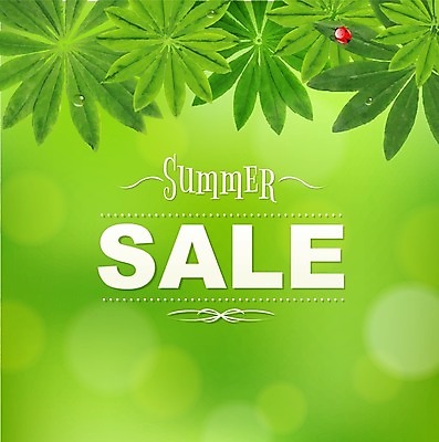 EPS 해외이미지 배너 포스터 백그라운드 잎 밭 일러스트 자연 간판 광고판 매달리기 잔디 초록색 여름 태양 라벨 세일 맑음 봄 공백 방 정보 골동품 판넬 뜨거움 메시지 방향 책상 오브젝트 사인 에코 질감 상업 보케 무당벌레 승진 내추럴 구식 매각 옛날 해외202004 해외일러스트 자연요소 식물 계절 컬러 가구 곤충 농업 모션 날씨 프레임 알림판 환경 생태계 판 파일형식 벡터 이미지허브