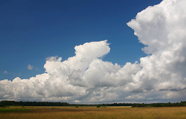 포토 JPG 해외이미지 구름 밭 자연 하늘 풍경 사람없음 야외 초록색 여름 파란색 환경 침묵 시골 땅 장면 수평선 해외202004 해외포토 자연요소 계절 컬러 농업 소리 생태계 파일형식 이미지허브