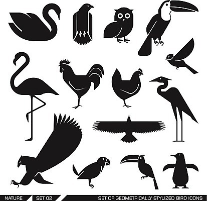 EPS 해외이미지 동물 디자인 실루엣 야생동물 신체 날개 일러스트 자연 조류 하늘 동물원 국립공원 미술 그래픽 세트 픽토그램 세계 치킨 행성 만화 수집 플라밍고 심볼 사인 그림 펭귄 앵무새 백조 독수리 부엉이 수탉 보호구역 생태학 암탉 해외202004 해외일러스트 멸종위기종 공원 교육 문화예술 촬영기법 우주 닭 암컷 수컷 생태계 구역 닭고기요리 파일형식 벡터 이미지허브