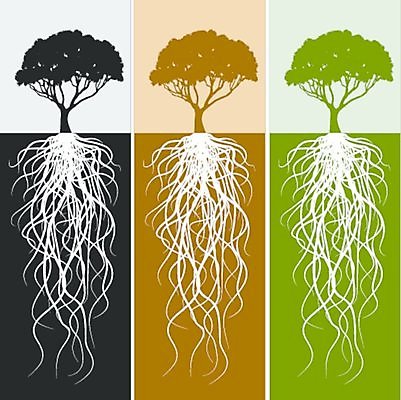EPS 해외이미지 클립아트 나무 식물 배너 실루엣 백그라운드 잎 일러스트 자연 미술 야외 그래픽 세로 초록색 세트 검은색 성장 흰색 만화 그림 유기농 클립 뿌리 디테일 해외202004 해외일러스트 웰빙 컬러 문화예술 촬영기법 생태계 파일형식 벡터 이미지허브