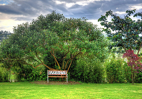 포토 JPG 해외이미지 나무 식물 구름 디자인 계절 공원 꽃 꽃무늬 벤치 자연 휴식 앉기 풍경 사람없음 야외 초록색 평화 환경 정원 봄 활발 성장 벚꽃 신선 개화 남아메리카 원예 에콰도르 상록수 흐림 내추럴 해외202004 해외포토 자연요소 공공시설 컬러 컨셉 무늬 의자 모션 날씨 아메리카 취미 생태계 파일형식 이미지허브