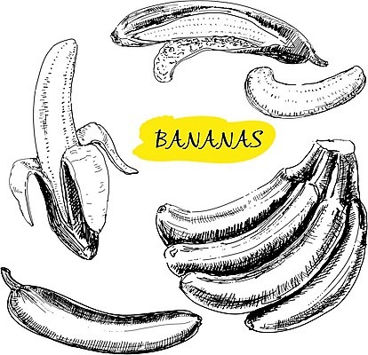 EPS 해외이미지 손 디자인 음식 백그라운드 다이어트 과일 일러스트 부분 바나나 건강 미술 그래픽 세트 식사 수확 껍질 흰색 달콤 낙서 스케치 다발 수집 피부 오브젝트 그림 유기농 복고 윤곽 내추럴 고립 숙성 엘리먼트 이국적 채식주의자 해외202004 해외일러스트 웰빙 컬러 농업 문화예술 신체부위 맛 채식 파일형식 벡터 이미지허브