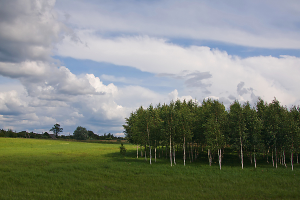 포토 JPG 해외이미지 구름 밭 농업 자연 하늘 파노라마 풍경 사람없음 야외 초록색 여름 파란색 햇빛 환경 침묵 시골 땅 조경 장면 수평선 해외202004 해외포토 자연요소 계절 산업 컬러 촬영기법 태양 소리 생태계 파일형식 이미지허브