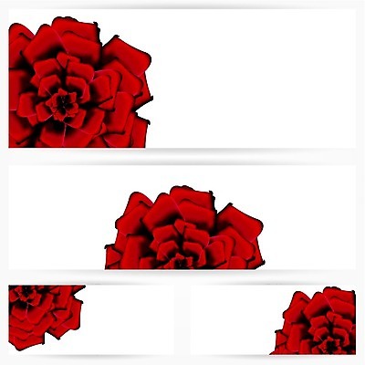 EPS 해외이미지 식물 디자인 기념일 꽃잎 꽃 꽃다발 결혼 백그라운드 잎 꽃무늬 데이트 일러스트 자연 휴가 발렌타인데이 선물 사랑 빨간색 초록색 장미 봄 활발 벚꽃 흰색 축하 인사 신용카드 생일 꽃집 오브젝트 싱글 초대 고립 해외202004 해외일러스트 계절 감정 컬러 컨셉 무늬 데이이벤트 이벤트 금융 상점 예절 생태계 파일형식 벡터 이미지허브