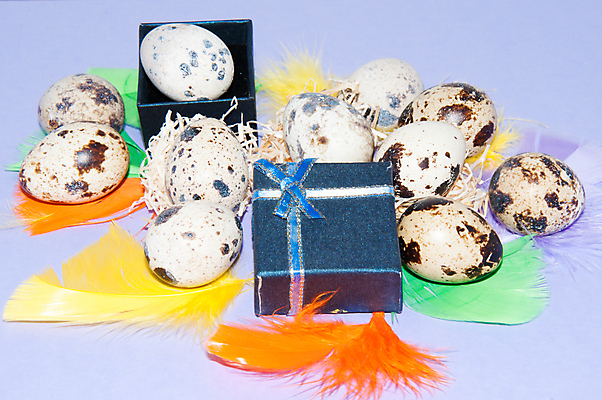 포토 JPG 해외이미지 전통 디자인 음식 컨셉 자연 휴가 부활절 기념 사람없음 장식 컬러풀 노란색 계란 축제 봄 축하 신선 점 얼룩 둥지 작음 심볼 깃털 날것 내추럴 메추리 식품점 해외202004 해외포토 계절 기념일 컬러 상점 알 크기 생태계 파일형식 이미지허브