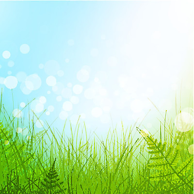 EPS 해외이미지 식물 계절 백그라운드 잎 밭 일러스트 자연 날씨 풍경 잔디 야외 초록색 여름 태양 환경 정원 화목 봄 성장 신선 순수 유기농 내추럴 생태학 양치류 해외202004 해외일러스트 자연요소 웰빙 교육 컬러 컨셉 농업 생태계 파일형식 벡터 이미지허브