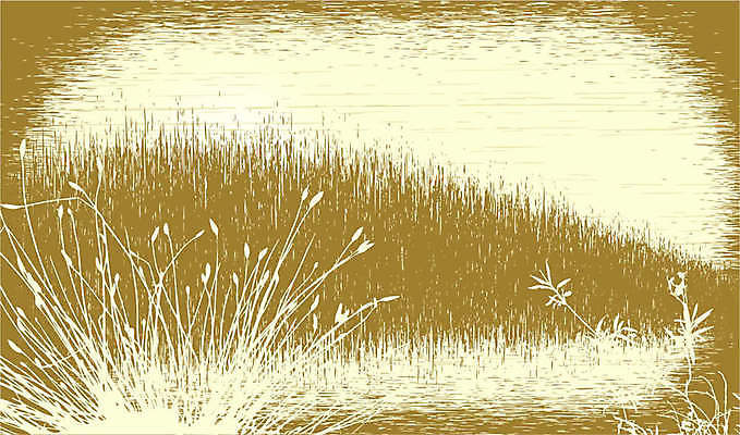 EPS 해외이미지 식물 호수 백그라운드 밭 일러스트 자연 하늘 풍경 그래픽 물 갈색 시골 연못 황무지 습지 서식지 내추럴 그런지 카피스페이스 해외202004 해외일러스트 자연요소 컬러 농업 공백 생태계 파일형식 벡터 이미지허브