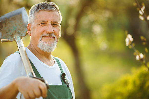 포토 JPG 해외이미지 식물 할아버지 남자 꽃 지구 얼굴 밭 자연 주택 관리 한명 사람 잔디 취미 야외 초록색 정원 흙 봄 회색 공구 업무 삽 원예 조경 먼지 갈퀴 뒤뜰 땅바닥 땅파기 쇠스랑 원예사 해외202004 해외포토 직업 1 계절 노년 컬러 농업 바닥 건물 신체부위 도구 작업 생태계 파일형식 이미지허브