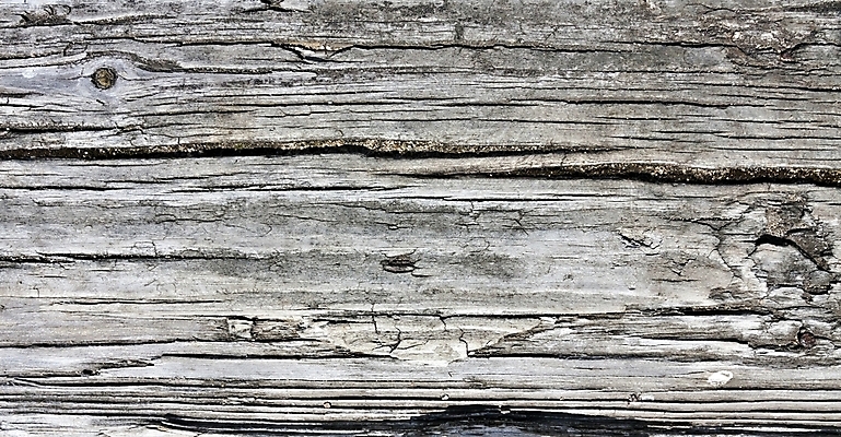 포토 JPG 해외이미지 나무 조각 무늬 부분 표면 날씨 사람없음 야외 목재 갈색 회색 시골 반지 얼룩 거친 닫기 자르기 버리기 묘사 질감 복고 매듭 통나무 먼지 나무껍질 내추럴 그런지 옛날 노화 개조 해외202004 해외포토 식물 컬러 컨셉 재료 장신구 모션 껍질 파일형식 이미지허브