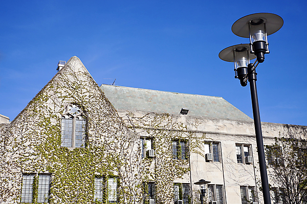 포토 JPG 해외이미지 교육 건축양식 학교 하늘 사람없음 파란색 도시풍경 컬러풀 미국 봄 도시 대학교 시티라이프 교외 시카고 해외202004 해외포토 라이프스타일 계절 건축 컬러 북아메리카 풍경 파일형식 이미지허브