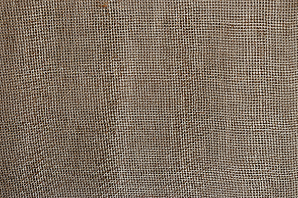 포토 JPG 해외이미지 디자인 백그라운드 패턴 자연 추상 프레임 미술 사람없음 수확 직물 면 거친 삼베 질감 복고 캔버스 자루 섬유 짜임 그런지 아마 옛날 해외202004 해외포토 꽃 무늬 농업 문화예술 생태계 파일형식 천_직물 이미지허브