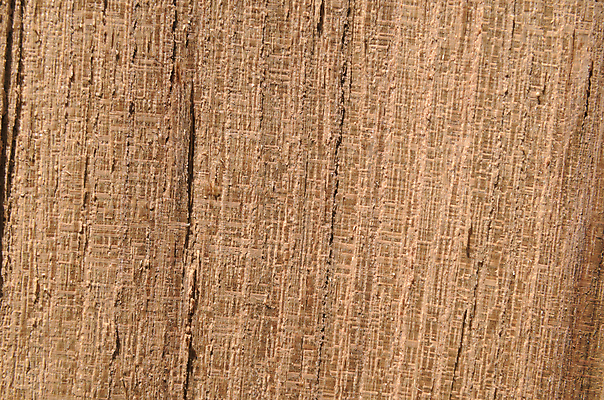 포토 JPG 해외이미지 나무 디자인 선 벽 백그라운드 유니폼 패턴 벽지 탁자 표면 추상 바닥 사람없음 목재 울타리 햇빛 노란색 판넬 거친 널 묘사 질감 잡동사니 내추럴 수목 파케트 해외202004 해외포토 식물 옷 컬러 가구 무늬 재료 담장 태양 파일형식 이미지허브