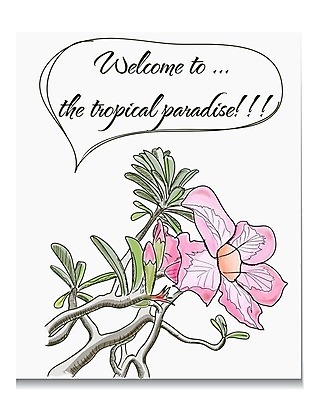 EPS 해외이미지 식물 템플릿 디자인 배너 꽃 분홍색 잎 패턴 일러스트 텍스트 벽지 휴가 수채화 기념 선물 사랑 그래픽 장식 책 공책 스파 수확 축하 인사 신용카드 생일 화려 앨범 스케치 클립 초대 목록 엘리먼트 파라다이스 해외202004 해외일러스트 기념일 감정 컬러 컨셉 무늬 농업 문구용품 미술 금융 예절 파일형식 벡터 이미지허브