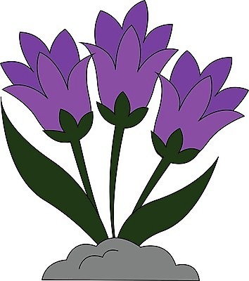 EPS 해외이미지 계절 꽃 잎 겨울 일러스트 초록색 정원 봄 벚꽃 개화 숲 제비꽃 그림 헌병 해외202004 해외일러스트 식물 컬러 군인 파일형식 벡터 직업 국군 이미지허브