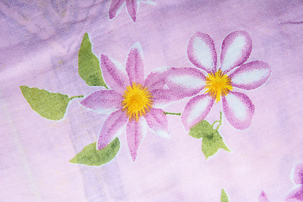 포토 JPG 해외이미지 모양 디자인 계절 꽃잎 꽃 백그라운드 컨셉 잎 꽃무늬 패턴 일러스트 자연 아침 추상 미술 사람없음 그래픽 장식 빛 축하 직물 화려 우아함 두루마리 심볼 사인 질감 엽서 공상 엘리먼트 스타일 해외202004 해외포토 주간 식물 무늬 문화예술 편지 생태계 파일형식 이미지허브