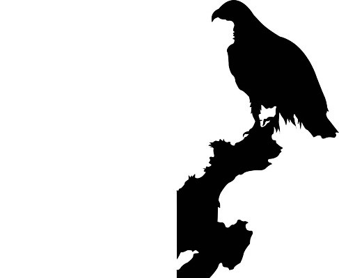 EPS 해외이미지 디자인 일러스트 자연 조류 성공 미술 빨간색 머리 힘 자유 클래식 인도인 심볼 피부 깃털 사인 사냥 클립 독수리 애국심 마스코트 신앙심 포식 필승 해외202004 영광군 해외일러스트 외국인 동물 컬러 컨셉 문화예술 동양인 신체부위 우승 전라남도 생태계 파일형식 벡터 사람 인종 최고 전라도 한국 아시아 나라 이미지허브