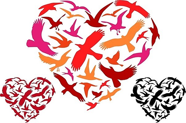 EPS 해외이미지 모양 동물 실루엣 야생동물 분홍색 컨셉 날개 오렌지 일러스트 자연 갈매기 조류 사랑 야외 빨간색 컬러풀 노란색 보라색 검은색 봄 자유 하트 만화 심볼 깃털 사인 그림 비둘기 독수리 제비 무료 해외202004 해외일러스트 계절 감정 컬러 과일 촬영기법 생태계 파일형식 벡터 이미지허브