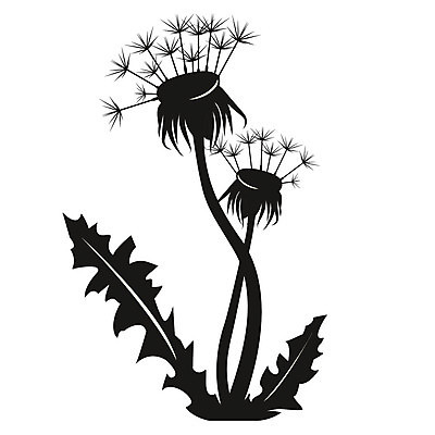 EPS 해외이미지 식물 디자인 꽃 실루엣 줄기 잎 일러스트 자연 바람 추상 미술 씨앗 그래픽 여름 검은색 봄 흰색 시골 민들레 싱글 그림 생물학 윤곽 솜털 내추럴 고립 엘리먼트 해외202004 해외일러스트 자연요소 계절 교육 컬러 무늬 날씨 문화예술 촬영기법 생태계 파일형식 벡터 이미지허브