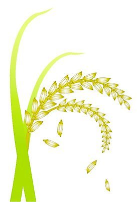 EPS 해외이미지 식물 디자인 음식 농업 일러스트 태국 자연 밥 장식 초록색 신선 낟알 흰배경 해외202004 해외일러스트 산업 아시아 컬러 백그라운드 흰색 생태계 파일형식 벡터 이미지허브