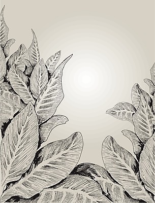 EPS 해외이미지 식물 꽃 선 백그라운드 잎 일러스트 잉크 경사 그래픽 여름 세트 봄 성장 신선 신용카드 낙서 스케치 해외202004 해외일러스트 계절 미술 금융 파일형식 벡터 이미지허브