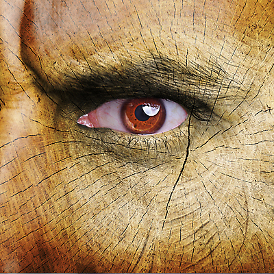 포토 JPG 해외이미지 나무 식물 디자인 응시 지구 얼굴 백그라운드 컨셉 꽃무늬 패턴 자연 표면 추상 아이디어 한명 사람 목재 초록색 머리 환경 행성 다양 에너지 표현 오픈 보호 숲 눈썹 에코 질감 나무껍질 내추럴 기후변화 바이오 생태학 엘리먼트 해외202004 해외포토 1 시선 교육 꽃 컬러 다수 무늬 재료 날씨 신체부위 우주 껍질 변화 생태계 파일형식 이미지허브