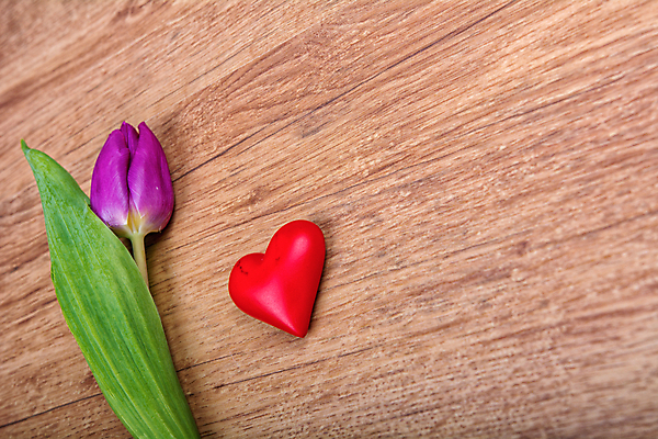 포토 JPG 해외이미지 모양 디자인 백그라운드 텍스트 추상 휴가 발렌타인데이 사랑 사람없음 목재 장식 초록색 우주 튤립 흰색 하트 마음 축하 신용카드 오브젝트 질감 옛날 해외202004 해외포토 나무 꽃 감정 컬러 컨셉 무늬 재료 데이이벤트 금융 파일형식 이미지허브