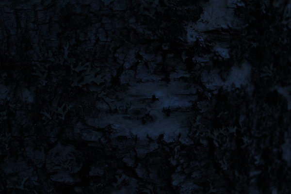 포토 JPG 해외이미지 패턴 벽지 3 사람없음 해외202004 해외포토 무늬 파일형식 이미지허브