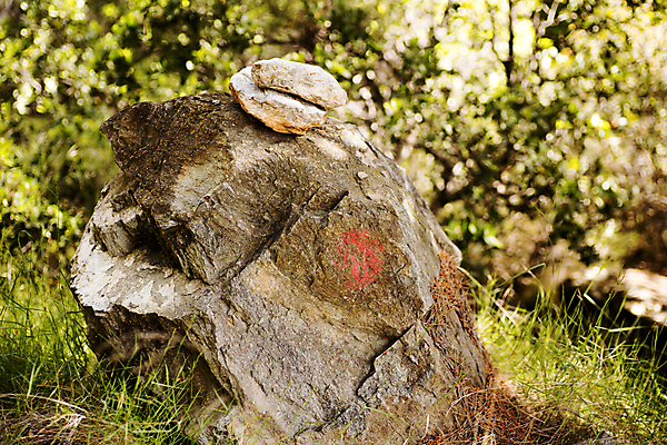 포토 JPG 해외이미지 백그라운드 패턴 자연 벽지 표면 날씨 추상 바닥 미술 사람없음 장식 빨간색 초록색 숫자 갈색 노란색 놀람 회색 골동품 흰색 거친 균열 낟알 크리스탈 자르기 묘사 질감 대리석 사암 층 무거움 내추럴 고체 그런지 옛날 지질학 화강암 해외202004 해외포토 문자 교육 감정 컬러 무늬 재료 모션 문화예술 표정 암석 돌_바위 무게 광석 생태계 파일형식 이미지허브