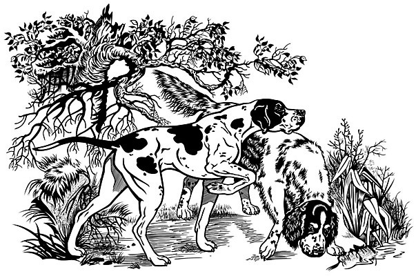 EPS 해외이미지 동물 일러스트 포유류 자연 친절 흑백 야외 반려동물 점 개 숲 사냥 사냥꾼 송곳니 경보 기르기 동반자 유래 충고 해외202004 해외일러스트 직업 촬영기법 치아 생태계 돌봄 파일형식 벡터 이미지허브