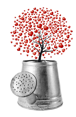 포토 JPG 해외이미지 나무 디자인 결혼 백그라운드 잎 농업 자연 아이디어 발렌타인데이 사랑 미술 사람없음 장식 빨간색 여름 정원 물뿌리개 흰색 나뭇가지 공구 하트 신용카드 사인 질감 내추럴 2월 고립 떠남 픽셀 스타일 아연 해외202004 해외포토 모양 식물 계절 감정 산업 컬러 컨셉 모션 데이이벤트 문화예술 이벤트 금융 도구 날짜 생태계 영양소 파일형식 이미지허브