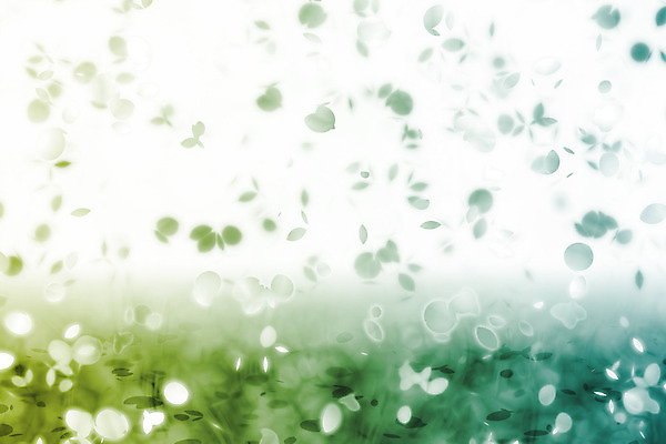 JPG 해외이미지 꽃잎 꽃 백그라운드 일러스트 사람없음 초록색 그라데이션 카피스페이스 해외202004 해외일러스트 식물 컬러 공백 파일형식 이미지허브