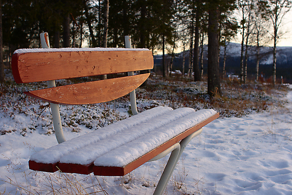 포토 JPG 해외이미지 나무 공원 겨울 벤치 휴식 사람없음 야외 침묵 가을 저녁 일시정지 해외202004 해외포토 식물 계절 공공시설 컨셉 의자 소리 야간 파일형식 이미지허브