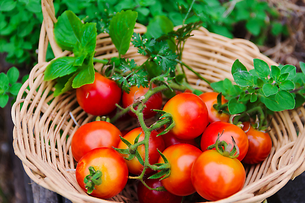 포토 JPG 해외이미지 텍스트 사람없음 목재 바구니 우주 수확 시골 옛날 해외202004 해외포토 나무 농업 재료 파일형식 이미지허브