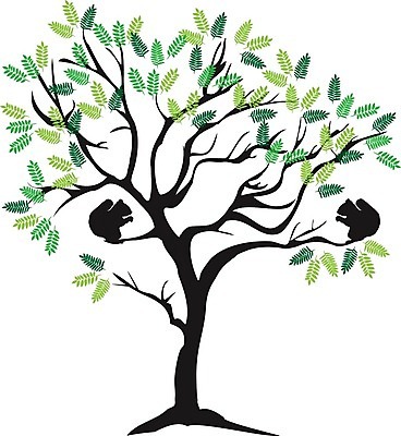 EPS 해외이미지 나무 잎 일러스트 추상 사람없음 초록색 다람쥐 해외202004 해외일러스트 식물 컬러 무늬 설치류 파일형식 벡터 이미지허브