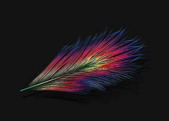 EPS 해외이미지 디자인 일러스트 자연 조류 그림자 미술 그래픽 장식 초록색 파란색 빛 반려동물 노란색 검은색 활발 유머 우아함 공작 깃털 오브젝트 싱글 그림 꼬리 솜털 고립 멀티 엘리먼트 해외202004 해외일러스트 동물 감정 컬러 컨셉 문화예술 생태계 파일형식 벡터 이미지허브