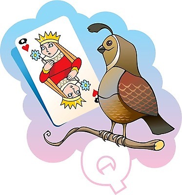 EPS 해외이미지 동물 디자인 알파벳 교육 어린이 컨셉 일러스트 학교 조류 종류 타이포그라피 장식 단어 세트 그리기 만화 스케치 편지 수집 심볼 읽기 사인 그림 타입 여왕 메추리 상형문자 엘리먼트 해외202004 해외일러스트 문자 영어 모션 미술 사람 파일형식 벡터 이미지허브