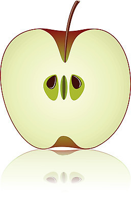 EPS 해외이미지 클립아트 음식 조각 백그라운드 농업 다이어트 과일 일러스트 자연 디저트 건강 초록색 빛 갈색 정원 식사 흰색 신선 달콤 맛 사과 자르기 먹기 심볼 오브젝트 싱글 상쾌 유기농 점심식사 고립 채식주의자 해외202004 해외일러스트 웰빙 감정 산업 컬러 컨셉 모션 생태계 채식 파일형식 벡터 이미지허브