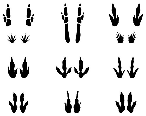EPS 해외이미지 동물 야생동물 백그라운드 가방 일러스트 자국 점프 호주 인쇄 발자국 검색 질감 증거 캥거루 발견 고립 발톱 양발 자취 해외202004 해외일러스트 잡화 포유류 모션 발 오세아니아 파일형식 벡터 이미지허브