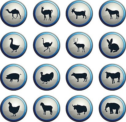 EPS 해외이미지 일러스트 사슴 염소 코끼리 치킨 가축 토끼 양 돼지 소 심볼 낙타 거위 당나귀 타조 라마 해외202004 해외일러스트 동물 포유류 조류 반려동물 말_동물 닭고기요리 파일형식 벡터 이미지허브