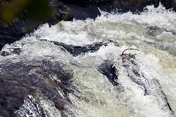 포토 JPG 해외이미지 파도 이동 모션 자연 사람없음 야외 물 강 환경 봄 폭포 흐름 에너지 흰색 액체 개울 떨어짐 매끈함 포르투갈 순수 분무기 내추럴 현재 해외202004 해외포토 자연요소 계절 유럽 바다 컬러 컨셉 감각 생태계 파일형식 이미지허브