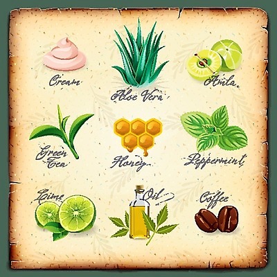 EPS 해외이미지 여자 커피 과일 일러스트 건강 세트 약 상점 스파 화장품 견과류 인도인 녹차 민트 허브 크림 향기 아로마 라임 비누 꿀 샴푸 내추럴 보충 고립 바닐라 히말라야 해외202004 해외일러스트 외국인 식물 음료 의학 사람 동양인 차_음료 위생용품 뷰티 냄새 파일형식 벡터 산맥 이미지허브