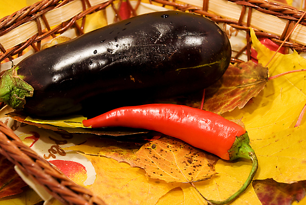 포토 JPG 해외이미지 문화 음식 백그라운드 잎 다이어트 채소 과일 재료 자연 고추 양파 파프리카 건강 마늘 요리 인종 사람없음 빨간색 주방 식당 식사 이탈리아 가을 신선 뜨거움 양념 그룹 숲 큼 편지 먹기 향신료 오브젝트 유기농 올리브 소금 후추 연소 고립 해외202004 해외포토 식물 웰빙 계절 열매 유럽 컬러 모션 사람 상점 크기 생태계 향미료 파일형식 이미지허브